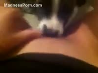 [ Bestiality Porn Video ] Kate adores making her dog take up with the tongue her tiny twat